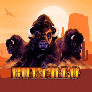 Buffalo