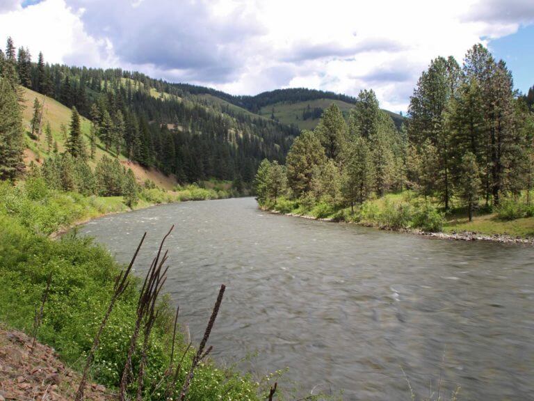 Grande Ronde riverbank