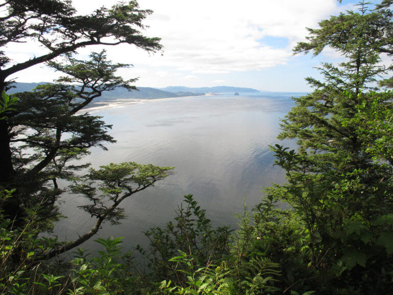 Cape Lookout State Park trail view