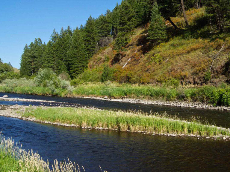 River at 6 Mile Ranch