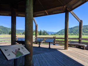 Elk viewing platform