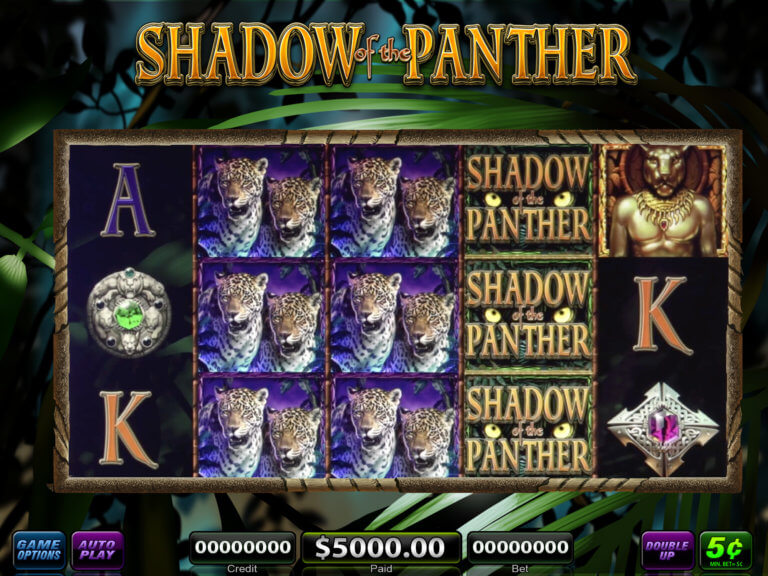 Shadow of the Panther