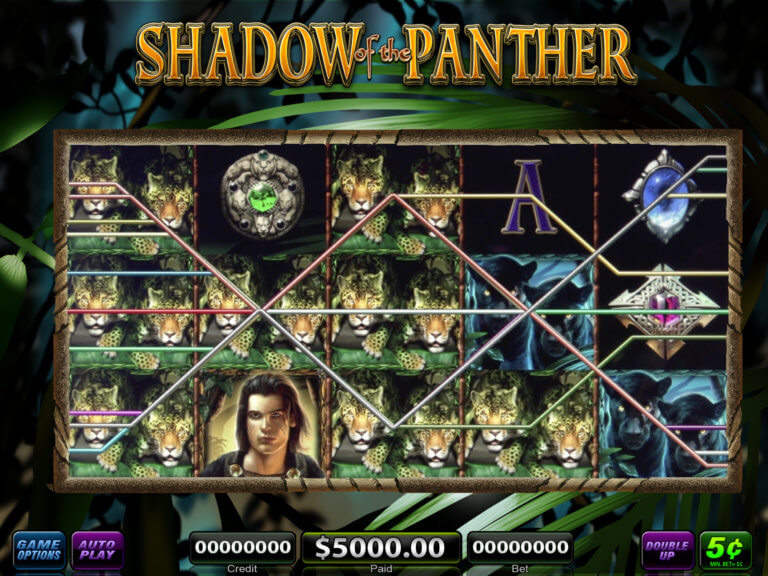 Shadow of the Panther