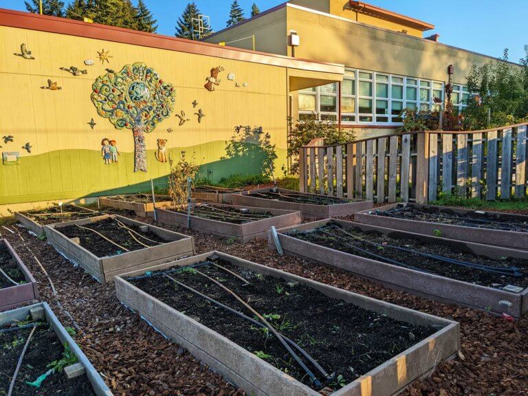 Raised garden beds in a school garden